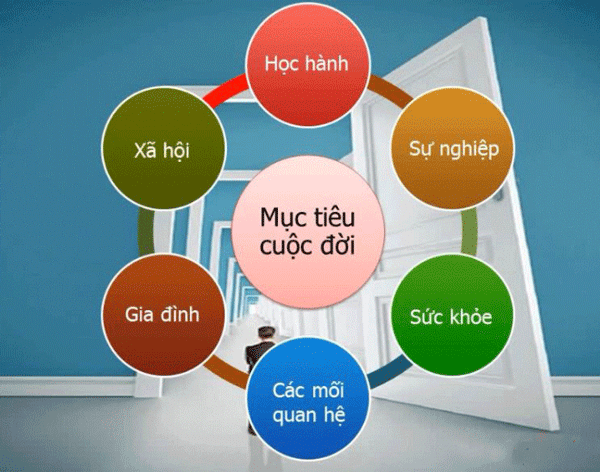 hoc-den-nam-3-roi-bo-ly-do-toi-quay-lai-tiep-tuc-hoc-dai-hoc-la-gi